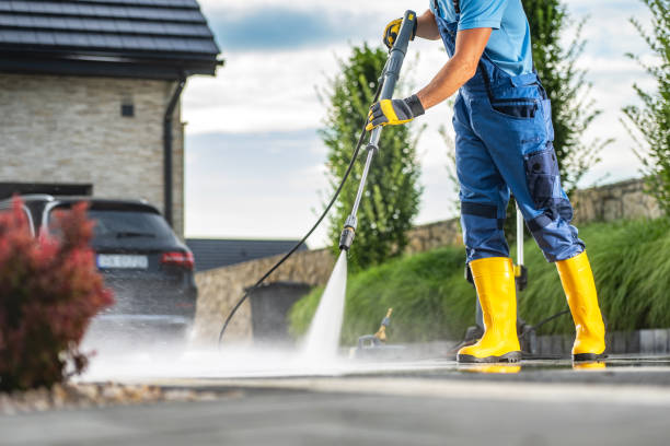Animal Enclosure Cleaning in Sandpoint, ID
